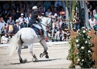 Pferd International 167